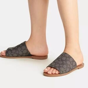 Coach sandals run small